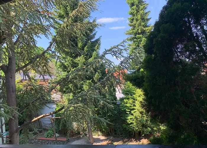 Dietrichsteinerhof & Aparthotel